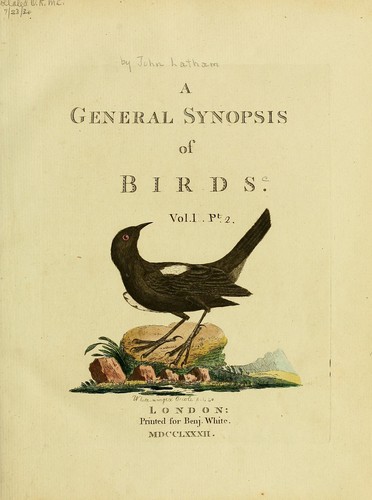 Cover for A general synopsis of birds