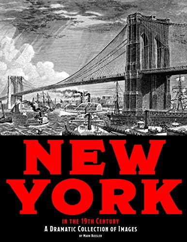 Cover for New York in the 19th Century