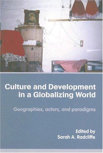 Cover for Culture and development in a globalising world