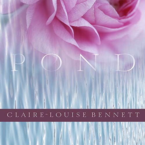 Cover for Pond