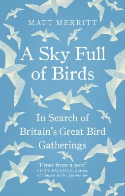 Cover for Sky Full of Birds