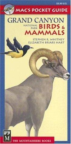 Cover for Mac's Pocket Guide