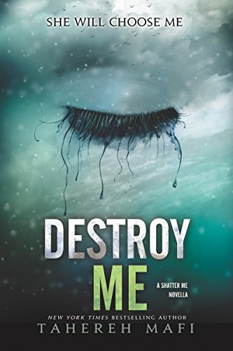 Cover for Destroy Me