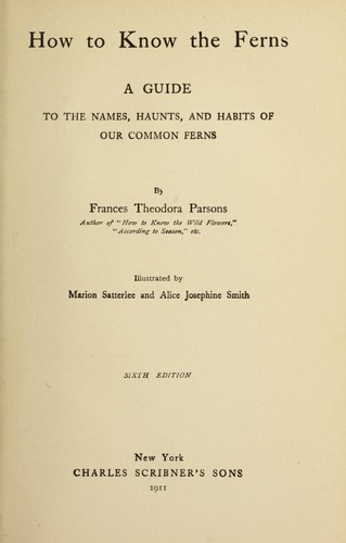 Cover for How to know the ferns