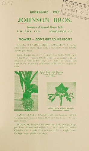 Cover for Flowers - God's gift to his people