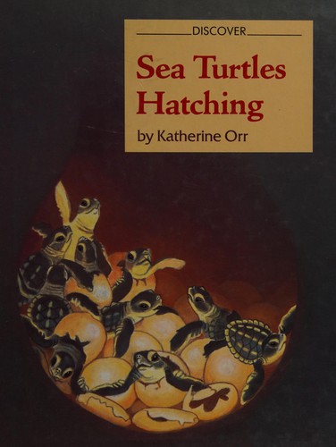 Cover for Sea turtles hatching