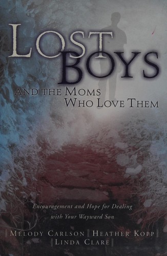 Cover for Lost boys and the moms who love them