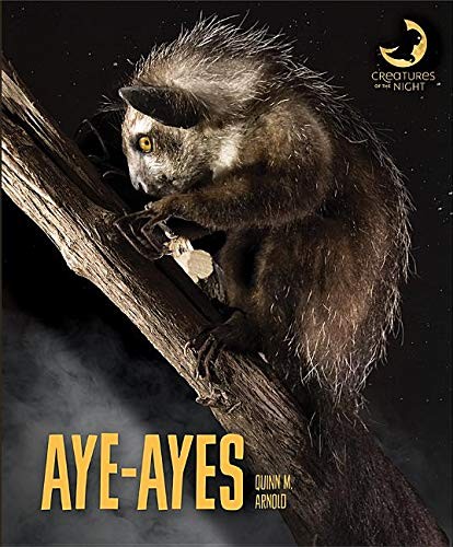 Cover for Aye-Ayes