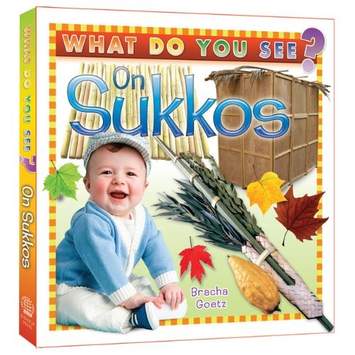 Cover for What Do You See on Sukkos?