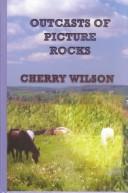 Cover for Outcasts of Picture Rocks