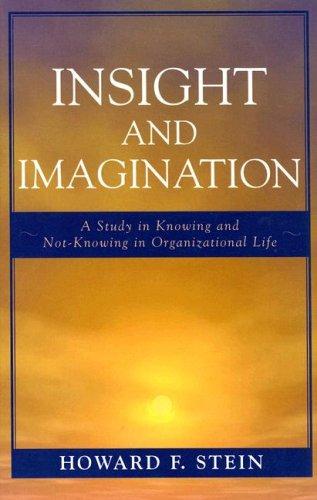 Cover for Insight and Imagination