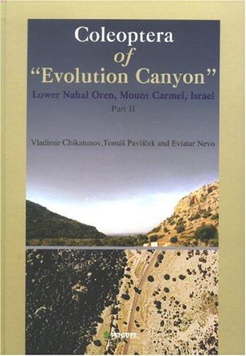 Cover for Coleoptera of ""Evolution Canyon"" Lower Nahal Oren, Mount Carmel, Israel (Faunistica, 35)