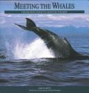 Cover for Meeting the Whales