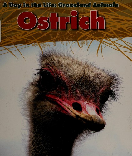 Cover for Ostrich