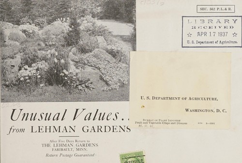 Cover for Unusual values from Lehman Gardens