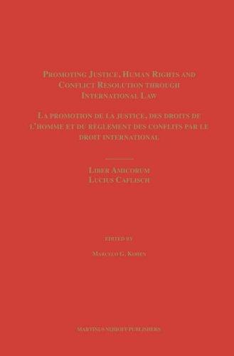 Cover for Promoting Justice, Human Rights and Conflict Resolution through International Law / La promotion de la justice, des droits de l'homme et du règlement des ... Liber Amicorum Lucius Caflisch