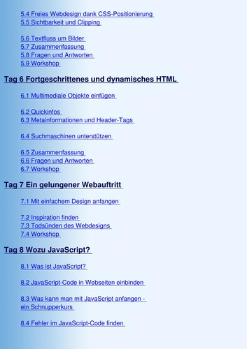 Cover for Java-Script in 21 Tagen