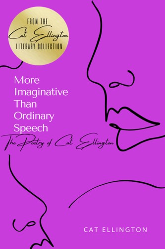 Cover for More Imaginative Than Ordinary Speech