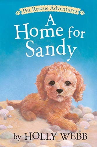 Cover for Home for Sandy