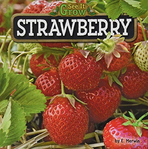 Cover for Strawberry