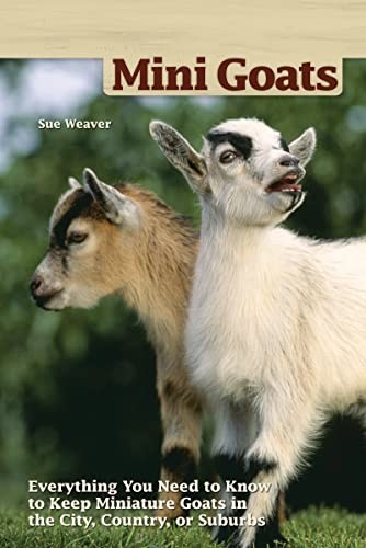 Cover for Mini goats