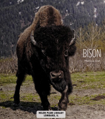 Cover for Bison