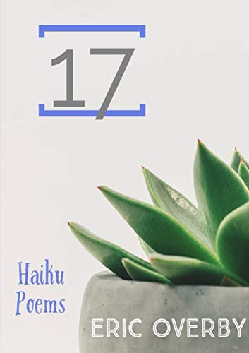 Cover for 17