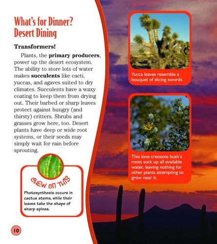 Cover for Desert dinners
