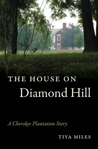Cover for The house on Diamond Hill
