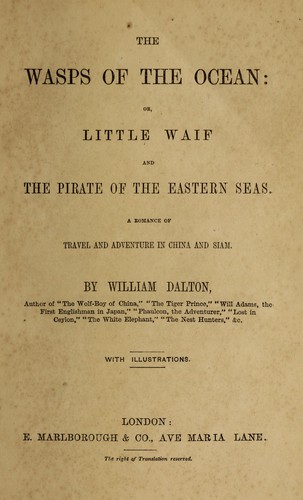 Cover for The wasps of the ocean, or, Little waif and the pirate of the Eastern seas