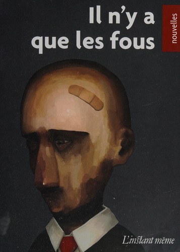 Cover for Il n'y a que les fous