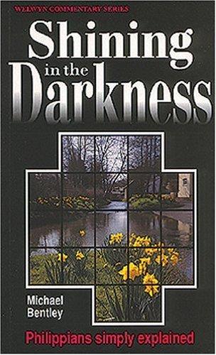 Cover for Shining in the Darkness