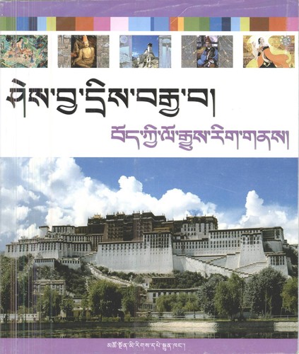 Cover for shes bya dris brgya ba/ bod kyi lo rgyus rig gnas