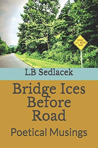 Cover for Bridge Ices Before Road