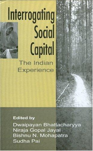 Cover for Interrogating social capital