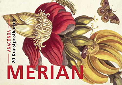 Cover for Postkarten-Set Maria Sibylla Merian