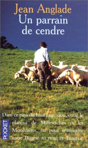 Cover for Un parrain de cendre