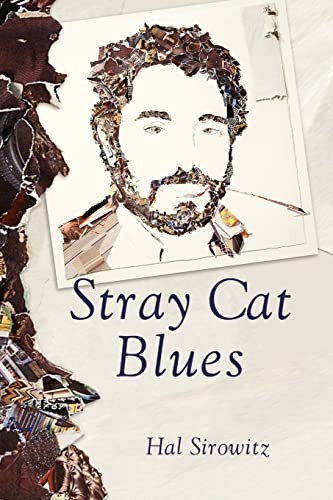 Cover for Stray Cat Blues