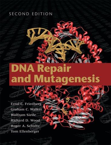 Cover for DNA repair and mutagenesis