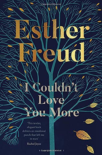 Cover for I Couldn't Love You More
