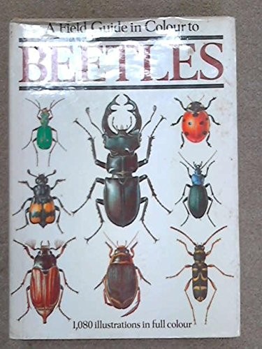 Cover for A field guide in colour to beetles