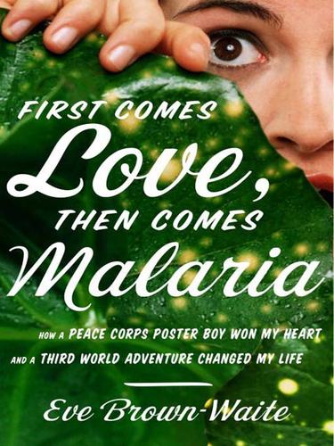 Cover for First Comes Love, then Comes Malaria