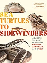 Cover for Sea Turtles to Sidewinders
