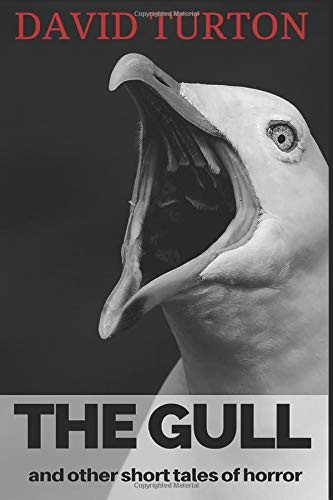 Cover for The Gull