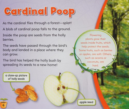 Cover for From bird poop to wind