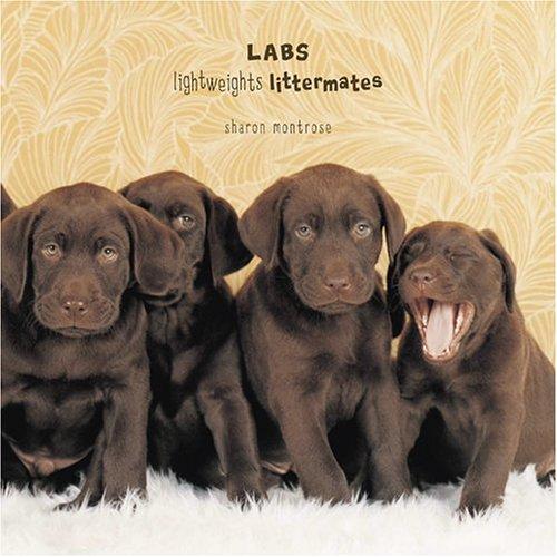 Cover for Labs