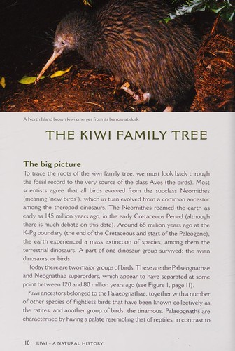 Cover for Kiwi