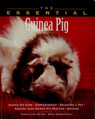 Cover for The essential guinea pig