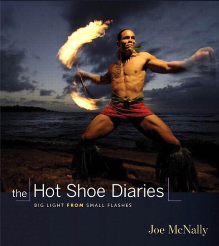 Cover for The Hot Shoe Diaries