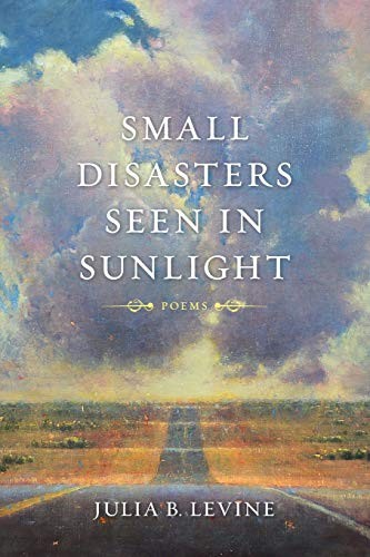 Cover for Small Disasters Seen in Sunlight